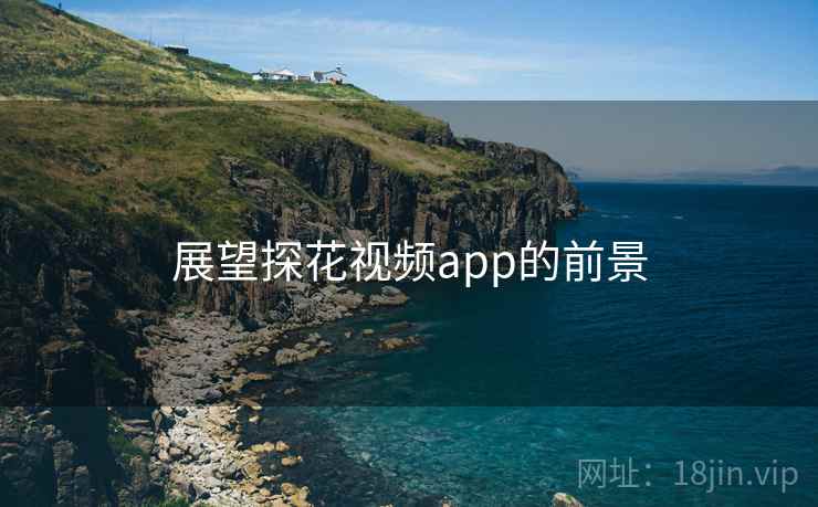展望探花视频app的前景