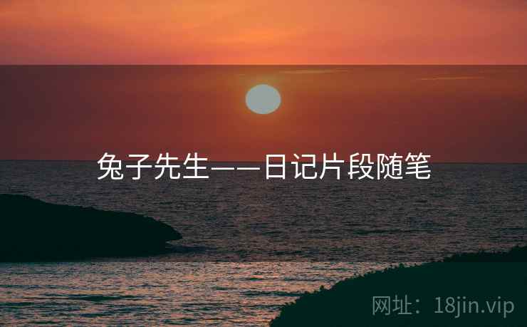 兔子先生——日记片段随笔