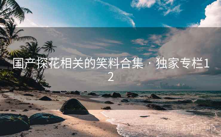 国产探花相关的笑料合集 · 独家专栏12