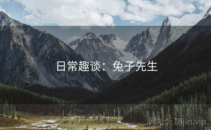日常趣谈：兔子先生