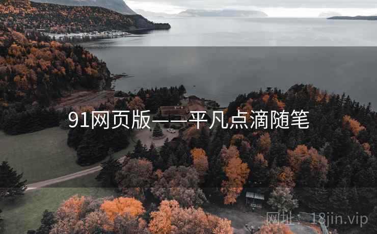91网页版——平凡点滴随笔
