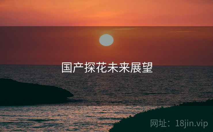 国产探花未来展望