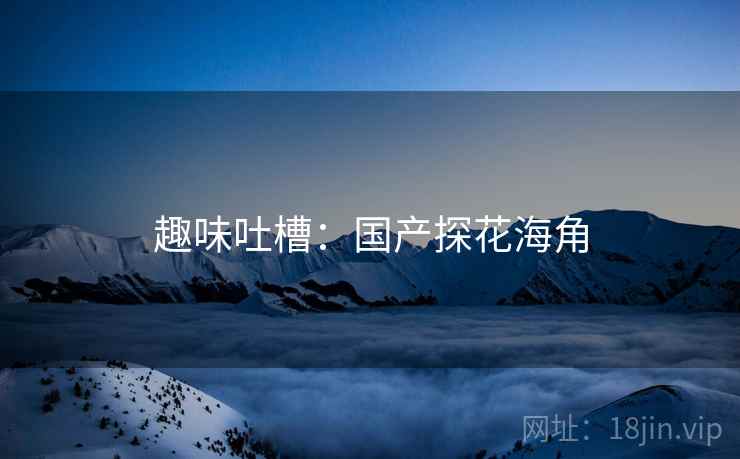 趣味吐槽：国产探花海角