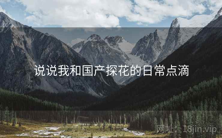 说说我和国产探花的日常点滴