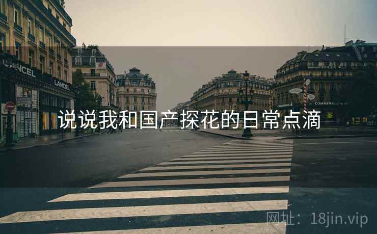 说说我和国产探花的日常点滴