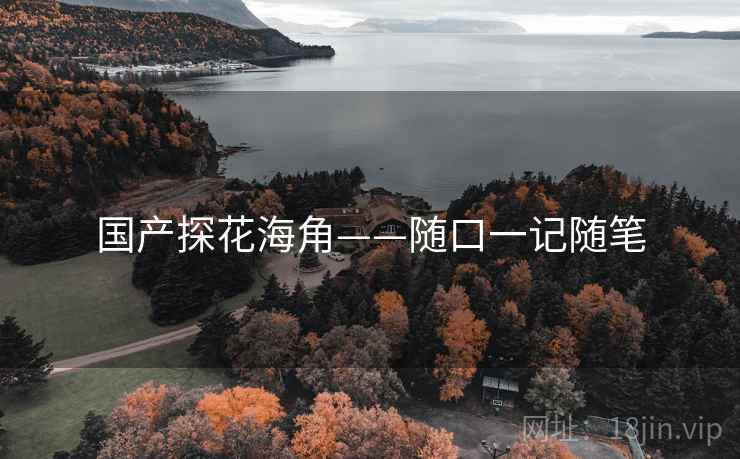 国产探花海角——随口一记随笔