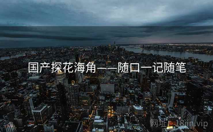 国产探花海角——随口一记随笔