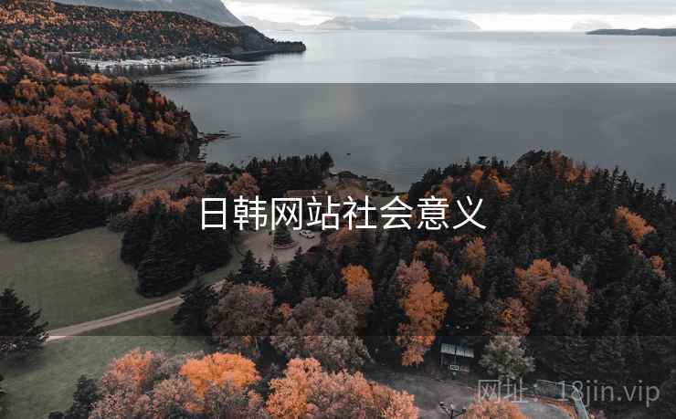 日韩网站社会意义