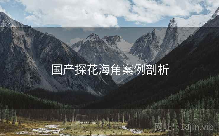 国产探花海角案例剖析
