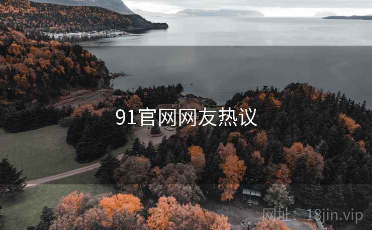 91官网网友热议