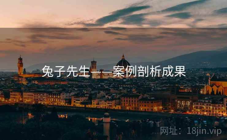 兔子先生——案例剖析成果