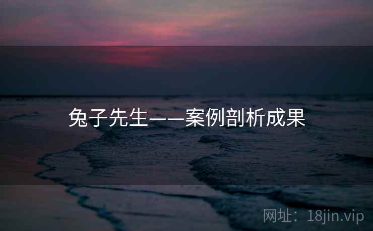 兔子先生——案例剖析成果