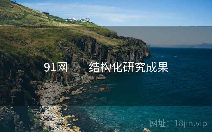 91网——结构化研究成果
