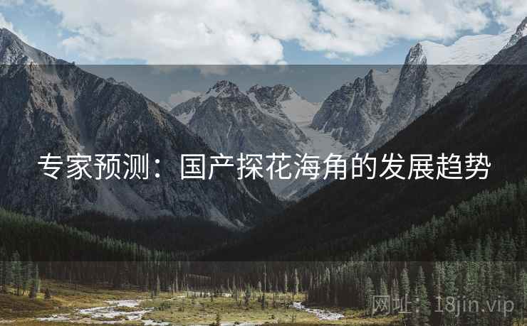 专家预测:国产探花海角的发展趋势