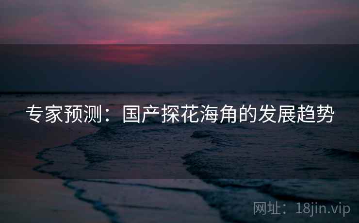 专家预测：国产探花海角的发展趋势
