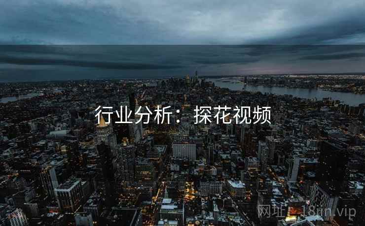 行业分析：探花视频