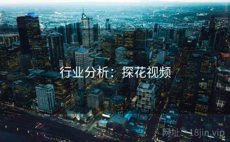 行业分析:探花视频