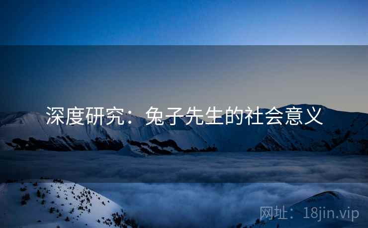 深度研究:兔子先生的社会意义