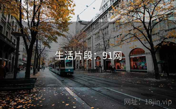 生活片段:91网