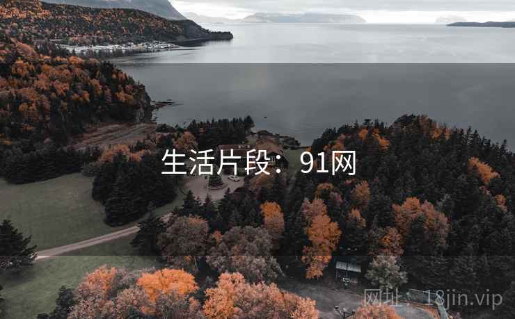 生活片段:91网