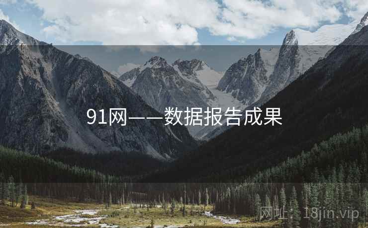 91网——数据报告成果