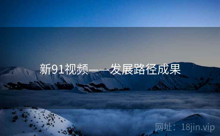 新91视频——发展路径成果